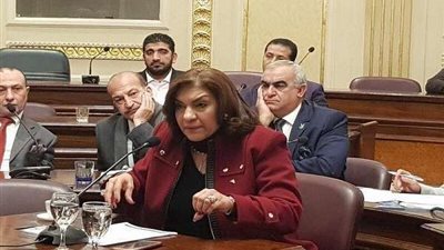 إيفلين متى تتقدم بطلب إحاطة بشأن توقف مصنع إدفينا عن العمل