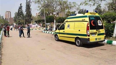 مصرع شخص في حادث تصادم بالدقهلية