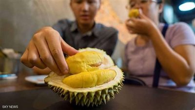 ثمن الثمرة الواحدة ألف دولار.. تعرف على أغلى فاكهة فى العالم