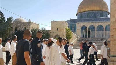 استباحة حرمات الأقصى.. المستوطنون اليهود يستغلون 
