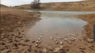 كارثة بيئية جديدة في ليبيا بسبب 