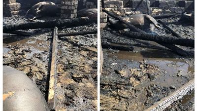 اشتعال النيران بحوش مواشي و5 منازل بمنفلوط أسيوط