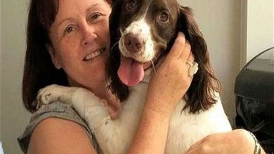 انتحار كلب... تعرف على قصة سيدة الظاهر التي استغاثت بالنجدة