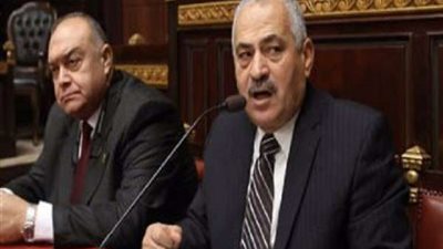 برلماني يتقدم ببيان عاجل بشأن غرامات زراعة الأرز