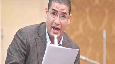 أبوحامد: الدستور الحالي يحتاج إلى مراجعة شاملة