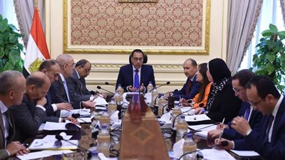 بالصور.. رئيس الوزراء يُتابع موقف توصيل المرافق للمُجمعات الصناعية
