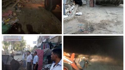 إزالة 8 حالات تعدي على الأراضي الزراعية وحالتين أملاك دولة بأسيوط