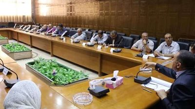 توحيد لون واجهات المباني بمحافظة شمال سيناء