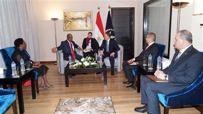 وزير الداخلية يلتقي نظرائه من 8 دول أفريقية لبحث سبل التعاون الأمني