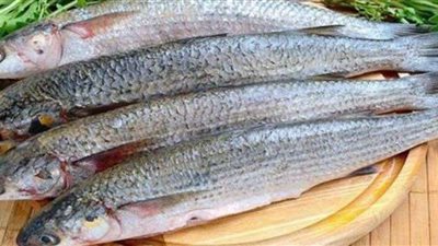 تسمم 14 شخص في سوهاج بسبب وجبة فسيخ فاسدة