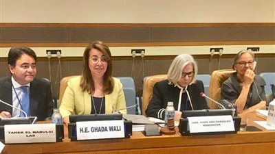 والي: مصر تسعى لتوفير الحماية والحياة الكريمة لذوي الإعاقة