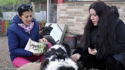 ملجأ حيوانات يحتضن امرأة بعد تعرضها لعنف زوجها