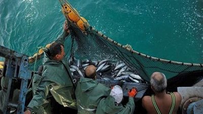 وزارة الزراعة تكشف حقيقة وقف الصيد في البحر الأحمر