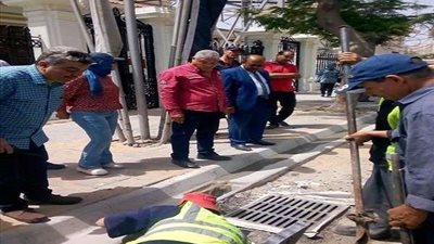 الإسكندرية تستعد لبطولة الأمم الأفريقية