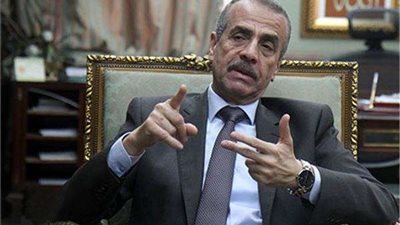 التعبئة والإحصاء: إعلان نتائج التعداد الاقتصادي أكتوبر المقبل