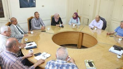 حزب الوفد يشكل 