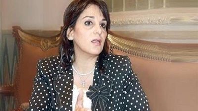 سوزي ناشد: رئاستنا للاتحاد الأفريقي باب لاستثمارات كبيرة لكن ينقصنا الترويج