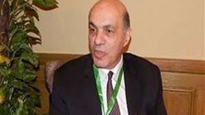 رئيس مرفق الكهرباء الأسبق: الدولة ستستخدم الرمال السوداء لصناعة الطائرات