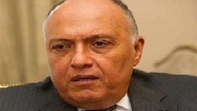 وزير الخارجية يبحث تطوير العلاقات الثنائية مع جنوب أفريقيا