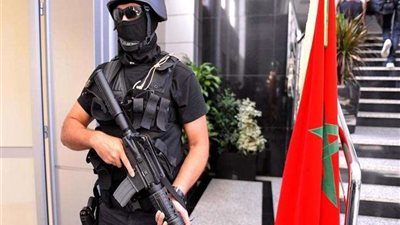 سقوط 15 عاطلًا بحوزتهم كميات من المواد المخدرة والسلاح بالقليوبية