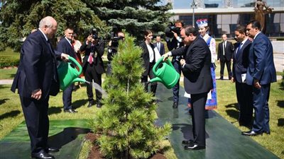 الرئيس السيسي يزرع شجرة صداقة مع نظيره البيلاروسي بالقصر الرئاسي بمينسك