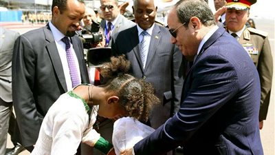 السيسي: سنسعى جاهدين لبناء الإنسان الإفريقي