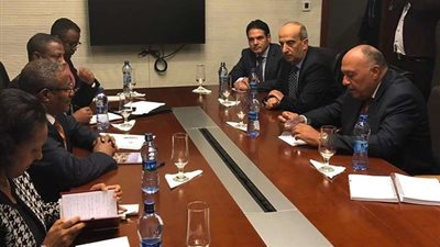 شكري يبحث مع نظيره الإثيوبي تطورات العلاقات الثنائية بين البلدين