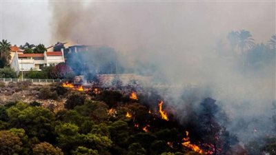 نشوب حريق بمخزن نباتات طبية بالفيوم