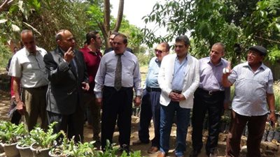 رئيس جامعة المنيا يشهد حصاد المزرعة السمكية بالمشتل التعليمي