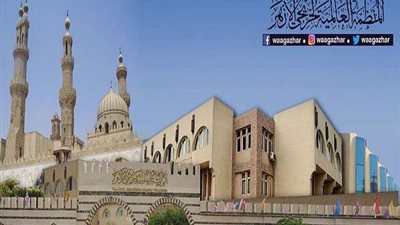 وزير الأوقاف الأسبق: ننظر إلى الأفارقة على أنهم امتداد لصعيد مصر