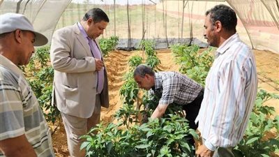 طلاب التعليم الفنى بالوادى الجديد يعزفون الأمل مع التدريبات العملية الصيفية