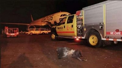 طائرات مسيرة حوثية تقصف مطاري 