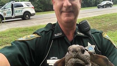 لسبب غريب.. الشرطة الأمريكية تعتقل سلحفاة