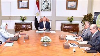 السيسي يوجه بالتأكد من كفاءة منظومة 