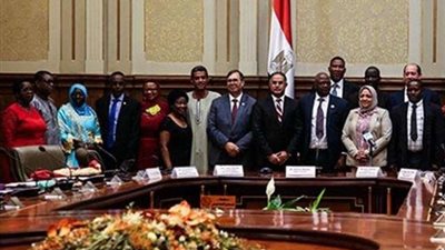 هبة البشبيشي: زيارة البرلمان الإفريقي لمصر كانت ناجحة للغاية