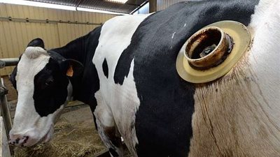 بالفيديو.. استخدام فتحات بـ