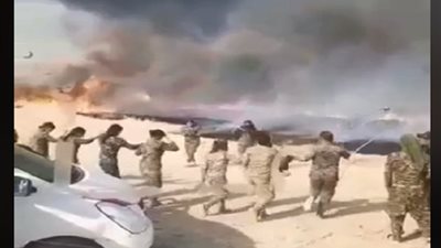 بالفيديو.. احتراق محاصيل زراعية في سوريا وسط احتفال مسلحي 