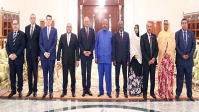 على عبد العال: مصر تنظر لجيبوتي كشريك هام في تحقيق التنمية