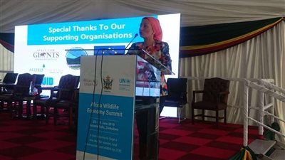 وزيرة البيئة تشارك في القمة الإفريقية لاقتصاديات الحياة البرية