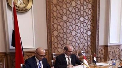 الاتفاق على إنشاء لجنة مشتركة بين مصر وإندونيسيا