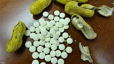 أغربها جلد الأفعى.. أحدث حيل تهريب المخدرات عالميا