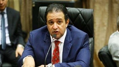 علاء عابد: هناك نقلة نوعية في العلاقة بين مصر ومفوضية حقوق الإنسان