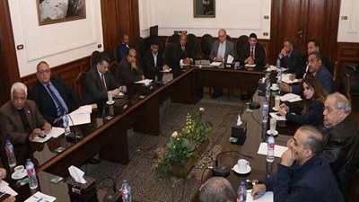 اللجان النوعية لـ