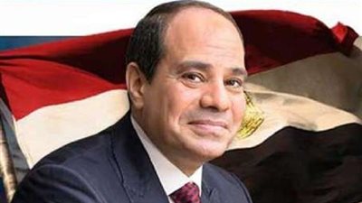 الرئيس: المصريون أثبتوا انتمائهم لبلادهم ورفضوا محو هويتهم