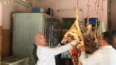 ضبط 800 كيلو لحوم فاسدة بنبروه ومنية النصر بالدقهلية