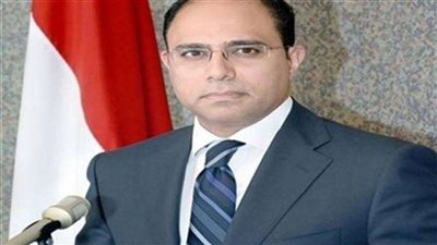 الخارجية ترد على هجوم مفوض الأمم المتحدة بشأن أحكام القضاء