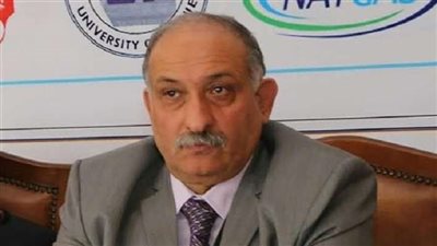 هشام عمارة: خطة صندوق النقد مع مصر أتت بثمارها