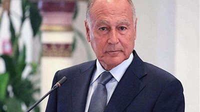 بعد استهداف مركز المهاجرين في ليبيا.. أبو الغيط: يجب وقف المواجهات العسكرية