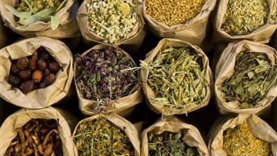 أبرزها الزنجبيل.. أعشاب تقضي على الصداع