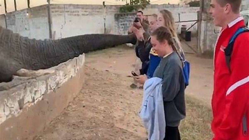 بلدنا اليوم